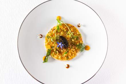 Au Gourmet Drusenheim · Hôtel Restaurant Alsace à Drusenheim