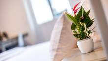 Au Gourmet Drusenheim · Hotel and Restaurant Alsace in Drusenheim